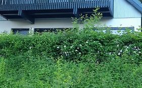 Ferienhaus im Seepark Kirchheim